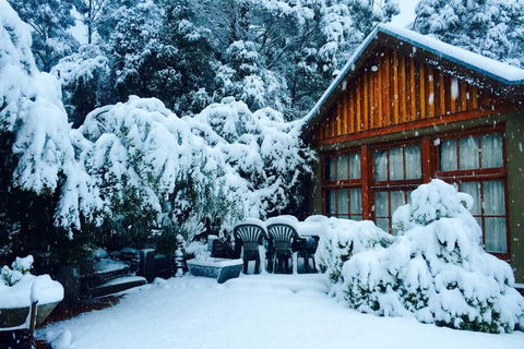 BEAUTIFUL RETREAT - 20 Mins To CBD And Only 10 Mins To MONA! - Accommodation Newcastle 0