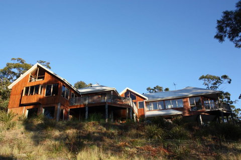 Bed In The Treetops B&B - Accommodation Newcastle 1