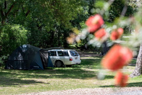 Belair National Park Holiday Park - Accommodation Newcastle 0
