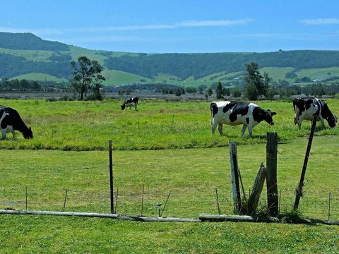 Bella Vista - Accommodation Newcastle 3