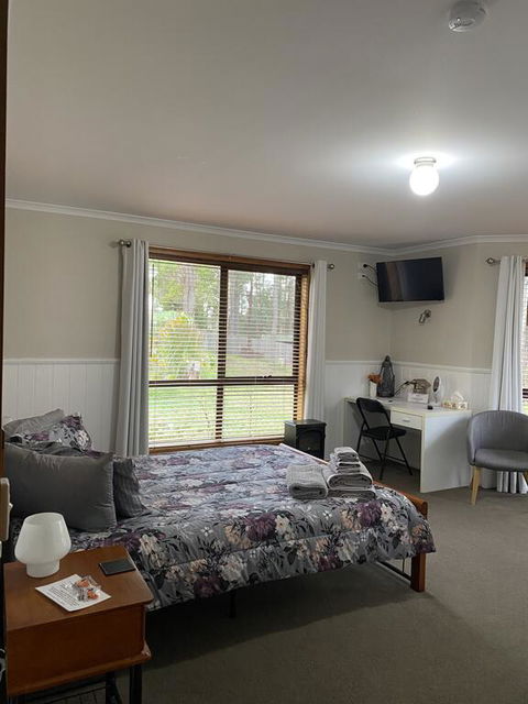Belle's Bed & Breakfast - Accommodation Newcastle 1