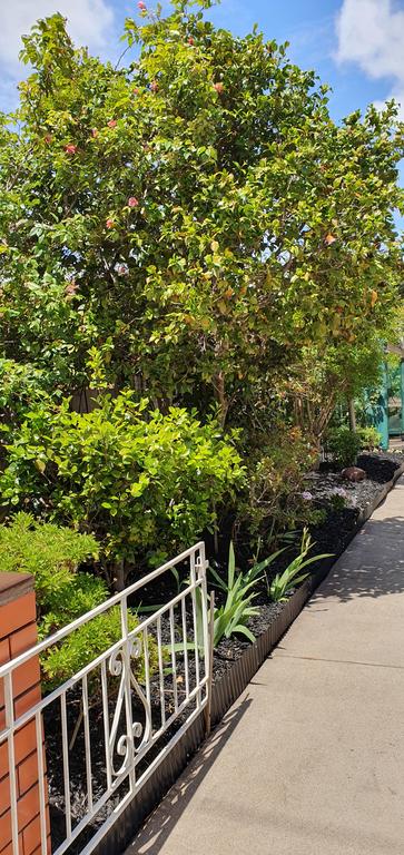 Betty's Place - Accommodation Newcastle 1