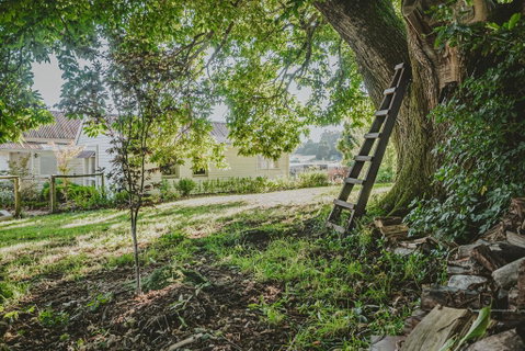 Blacksmiths Cottage - Accommodation Newcastle 1