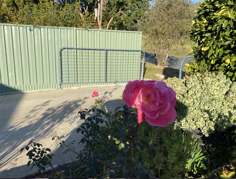 Blue Manor On Fairway - Accommodation Newcastle 2