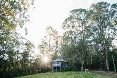 Bluegums Cabins - Accommodation Newcastle 0