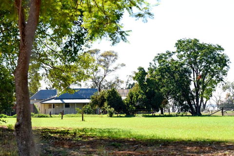 The Jetty Hut - Lake Frontage Barmera Riverland - Accommodation Newcastle 2