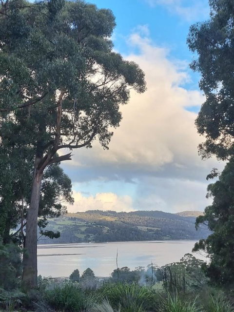 The Little Seed - Accommodation Newcastle 3