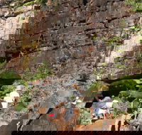 3-Day Kakadu 4WD Camping Safari from Darwin - Accommodation Newcastle