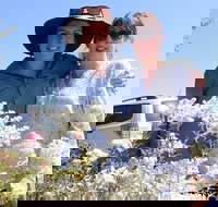 Spring Wildflower Private Day Tours - Accommodation Newcastle