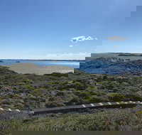 Penguin Island And Fremantle - Canoe Chocolate  Coffee - Accommodation Newcastle