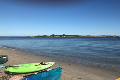 Penguin Island And Fremantle - Canoe, Chocolate & Coffee - Accommodation Newcastle 2