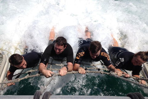 Cruise In Moreton Bay Marine Park And Moreton Island - Accommodation Newcastle 0