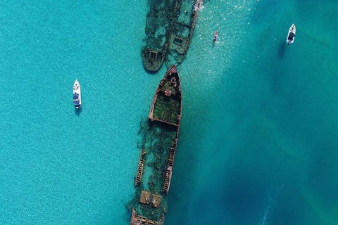 Cruise In Moreton Bay Marine Park And Moreton Island - Accommodation Newcastle 1