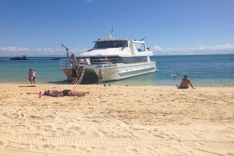 Cruise In Moreton Bay Marine Park And Moreton Island - Accommodation Newcastle 4