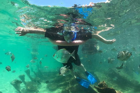 Cruise In Moreton Bay Marine Park And Moreton Island - Accommodation Newcastle 5