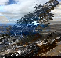 kunanyi / Mt Wellington Explorer Bus - 2 Hour Return Tour - Accommodation Newcastle