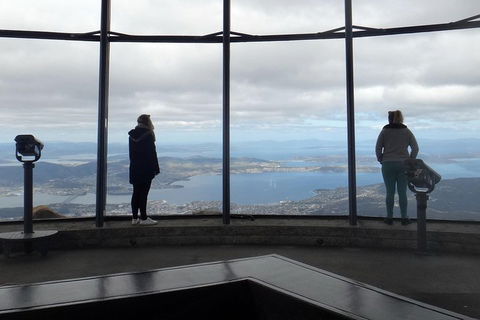 Kunanyi / Mt Wellington Explorer Bus - 2 Hour Return Tour - Accommodation Newcastle 1