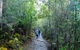 Kunanyi / Mt Wellington Explorer Bus - 2 Hour Return Tour - thumb 2
