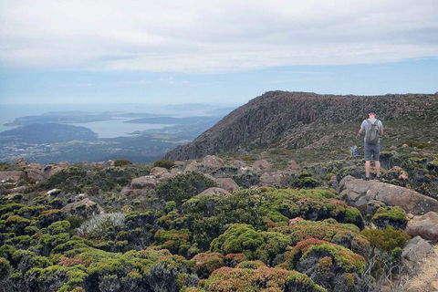 Kunanyi / Mt Wellington Explorer Bus - 2 Hour Return Tour - Accommodation Newcastle 3