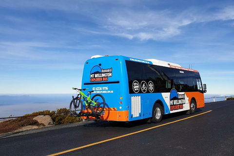 Kunanyi / Mt Wellington Explorer Bus - 2 Hour Return Tour - Accommodation Newcastle 4