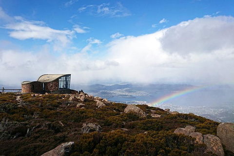 Kunanyi / Mt Wellington Explorer Bus - 2 Hour Return Tour - Accommodation Newcastle 5