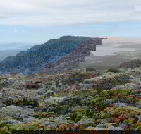 kunanyi/Mt Wellington Explorer Bus - One Way Tour - Accommodation Newcastle