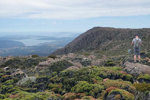 Kunanyi/Mt Wellington Explorer Bus - One Way Tour - Accommodation Newcastle 0