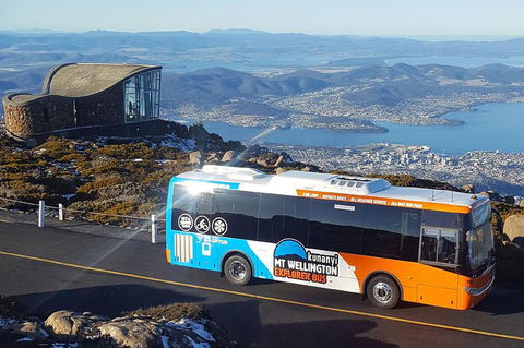 Kunanyi/Mt Wellington Explorer Bus - One Way Tour - Accommodation Newcastle 1