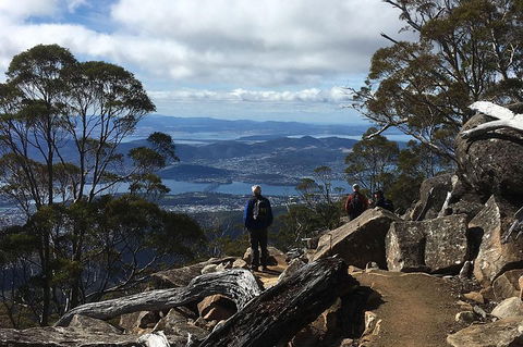 Kunanyi/Mt Wellington Explorer Bus - One Way Tour - Accommodation Newcastle 2
