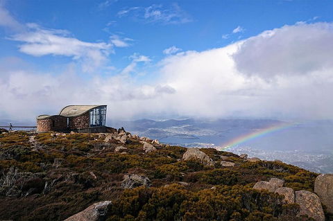 Kunanyi/Mt Wellington Explorer Bus - One Way Tour - Accommodation Newcastle 3