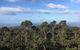 Kunanyi/Mt Wellington Explorer Bus - One Way Tour - thumb 5