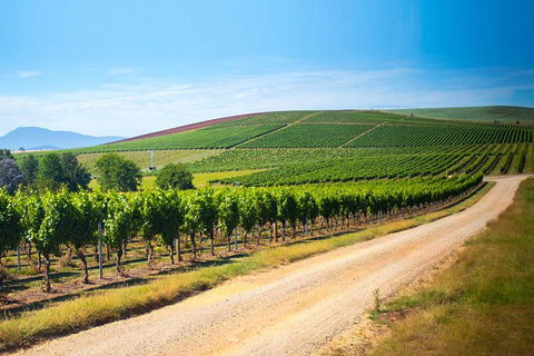 Full Day Tamar Valley Wine Tour - Accommodation Newcastle 1