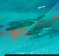Private Tangalooma Wrecks Tour - Accommodation Newcastle