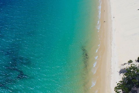 Private Tangalooma Wrecks Tour - Accommodation Newcastle 1