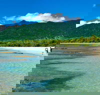 5-Day Best of Cairns with Daintree Kuranda and Great Barrier Reef - Accommodation Newcastle