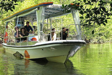 5-Day Best Of Cairns With Daintree, Kuranda, And Great Barrier Reef - Accommodation Newcastle 1