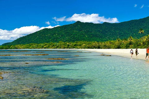 8-Day Cairns Tour: Great Barrier Reef, Kuranda, Daintree Rainforest - Accommodation Newcastle 0