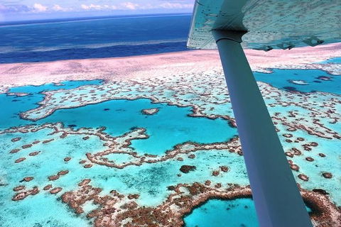 8-Day Cairns Tour: Great Barrier Reef, Kuranda, Daintree Rainforest - Accommodation Newcastle 2