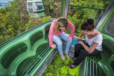 8-Day Cairns Tour: Great Barrier Reef, Kuranda, Daintree Rainforest - Accommodation Newcastle 3