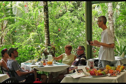 8-Day Cairns Tour: Great Barrier Reef, Kuranda, Daintree Rainforest - Accommodation Newcastle 4