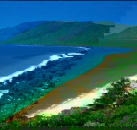 Cairns Reef and Rainforest Combo Daintree Rainforest and the Great Barrier Reef - Accommodation Newcastle