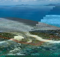 4-Day Cairns with Great Barrier Reef and Daintree Rainforest - Accommodation Newcastle