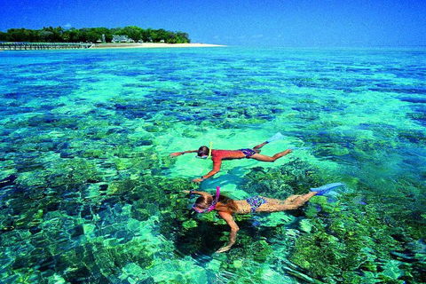 4-Day Cairns With Great Barrier Reef And Daintree Rainforest - Accommodation Newcastle 2
