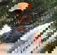 Full-Day Great Ocean Road Small-Group Tour from Melbourne - Accommodation Newcastle