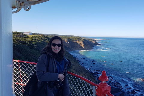 Great Ocean Road Full Day Private Experience - Accommodation Newcastle 1