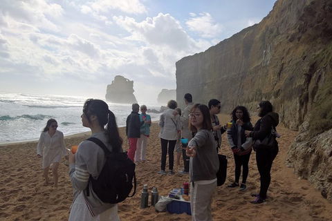 Great Ocean Road Full Day Private Experience - Accommodation Newcastle 4