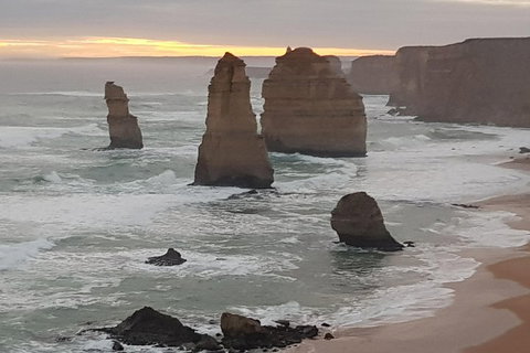 Private Express Experience - 12 Apostles - Accommodation Newcastle 1