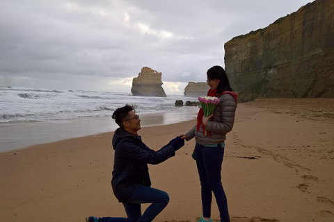 Private Express Experience - 12 Apostles - Accommodation Newcastle 2