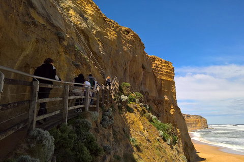 Private Express Experience - 12 Apostles - Accommodation Newcastle 3