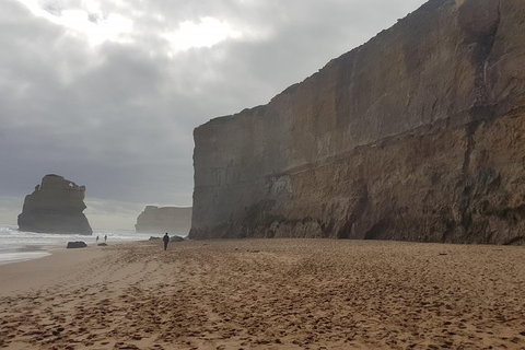 Private Express Experience - 12 Apostles - Accommodation Newcastle 4